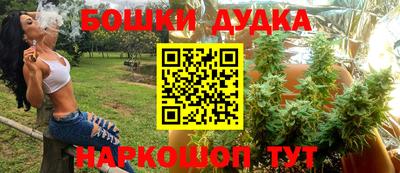 мдпв Камышлов