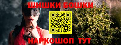 мдпв Камышлов