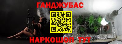 мдпв Камышлов