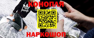 мдпв Камышлов