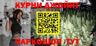 мдпв Камышлов