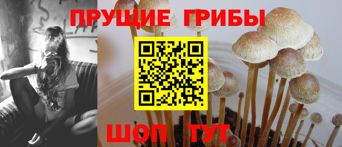 Кстово  Псилоцибиновые грибы мухоморы  Вход с VPN 
