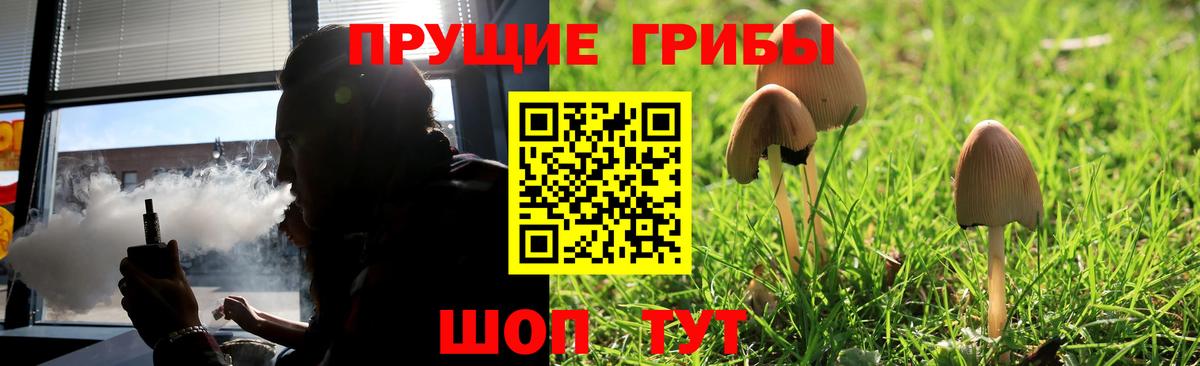 Псилоцибиновые грибы Cubensis Кстово